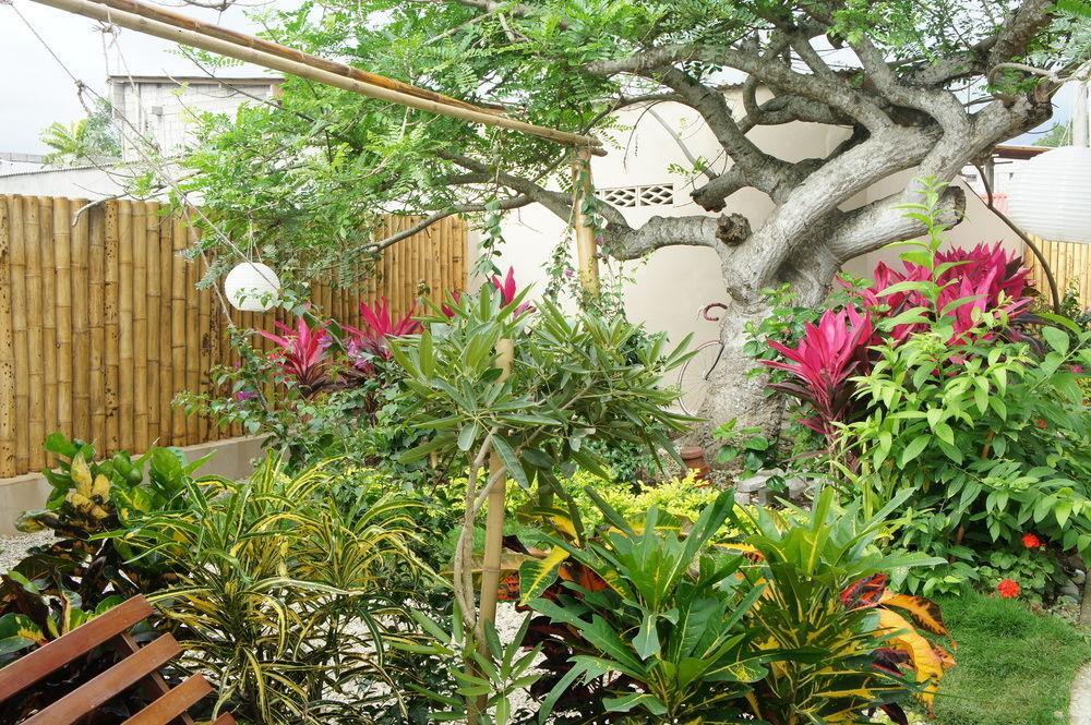Rincon D'Olon Boutique Hotel Екстериор снимка